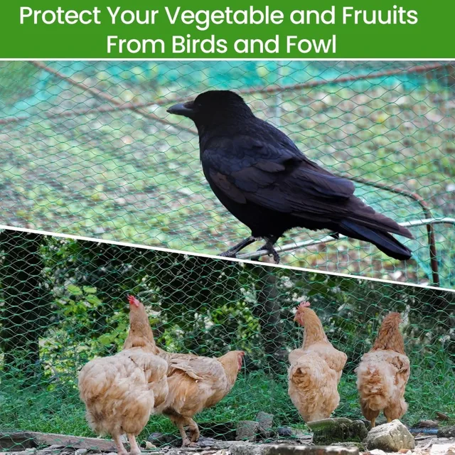 Garden Net Protects Plants with Durable Garden Protection Nets From Birds and Poultry Garden Plant Climbing Nets Gardening Tools 4