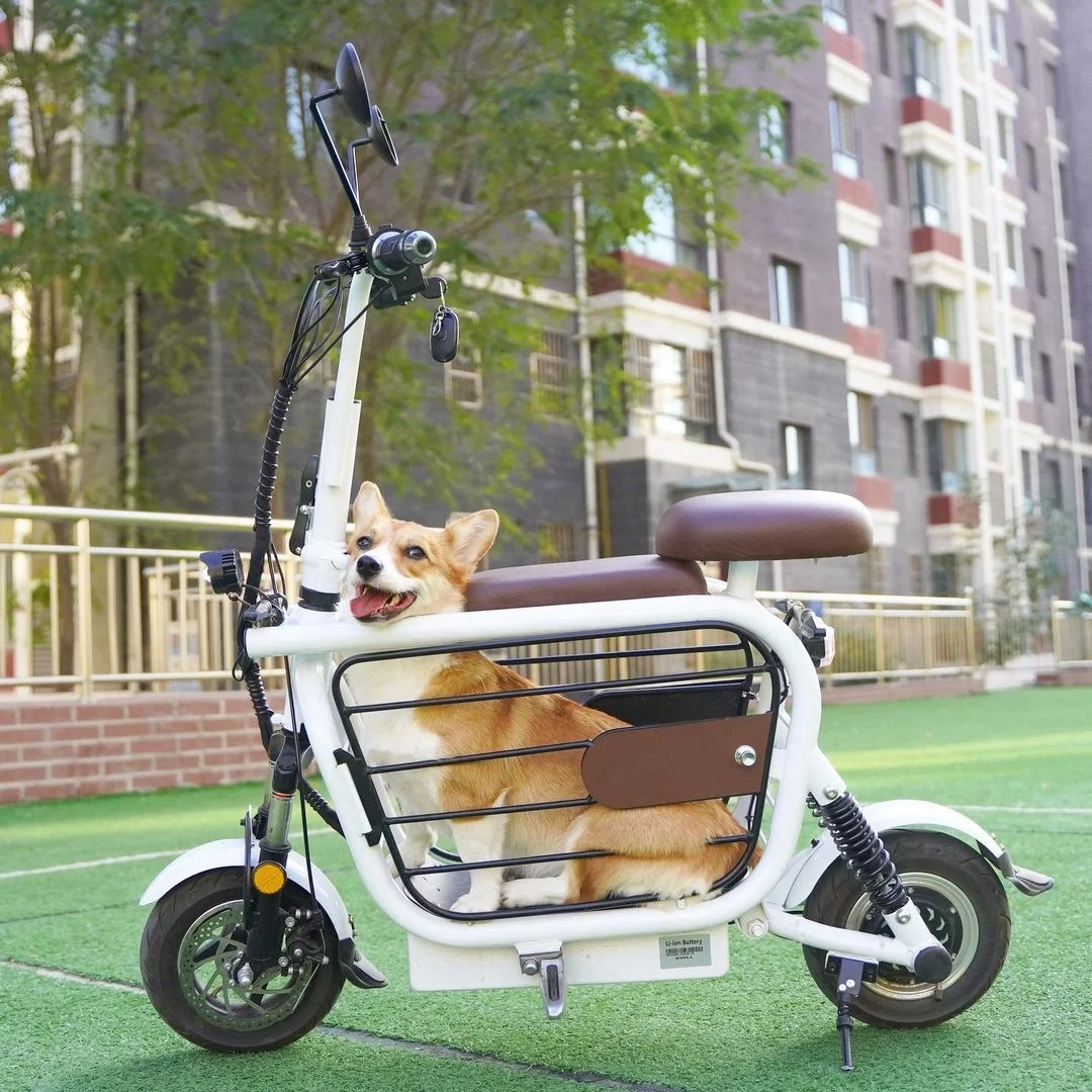 Good Price Electric Scooter Bike with Pet Carrier Scooter Pet Electric Citycoco for Dog Catcustom