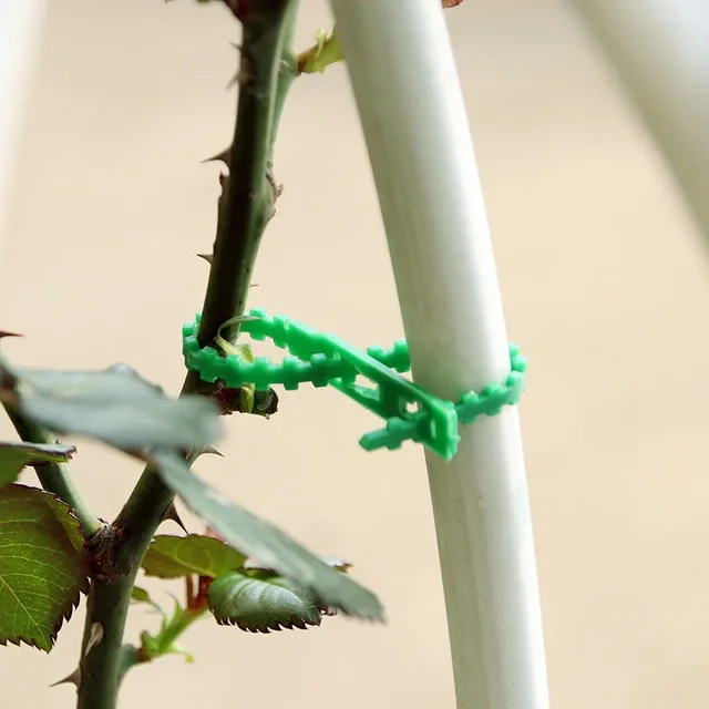 25/50/100Pcs Reusable Garden Cable Ties Adjustable Plastic Cable Ties Tools Plant Support Shrubs Fastener Tree Locking Nylon 5