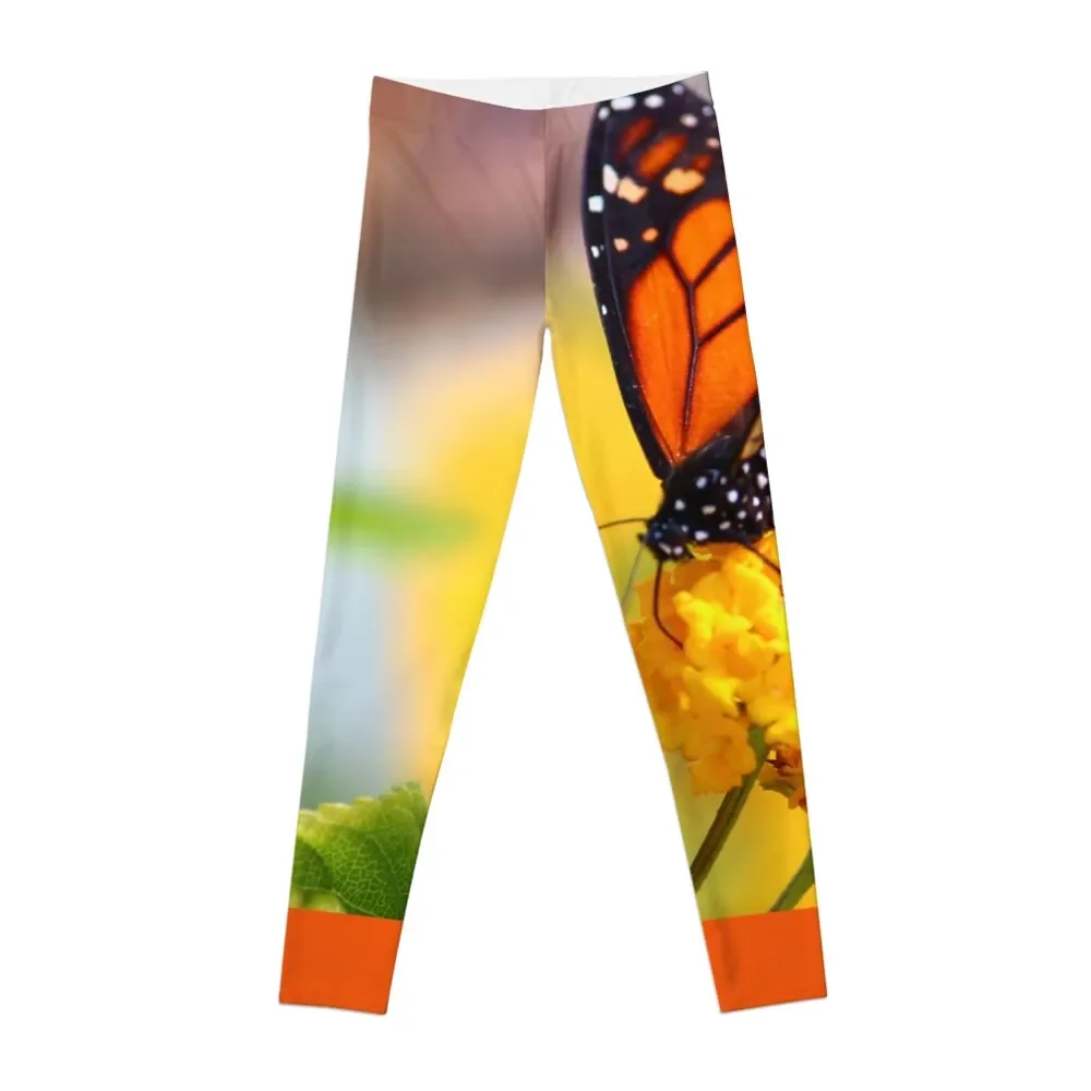 

Butterfly Landing Leggings sporty woman push up Female legging pants Leginsy push up Womens Leggings