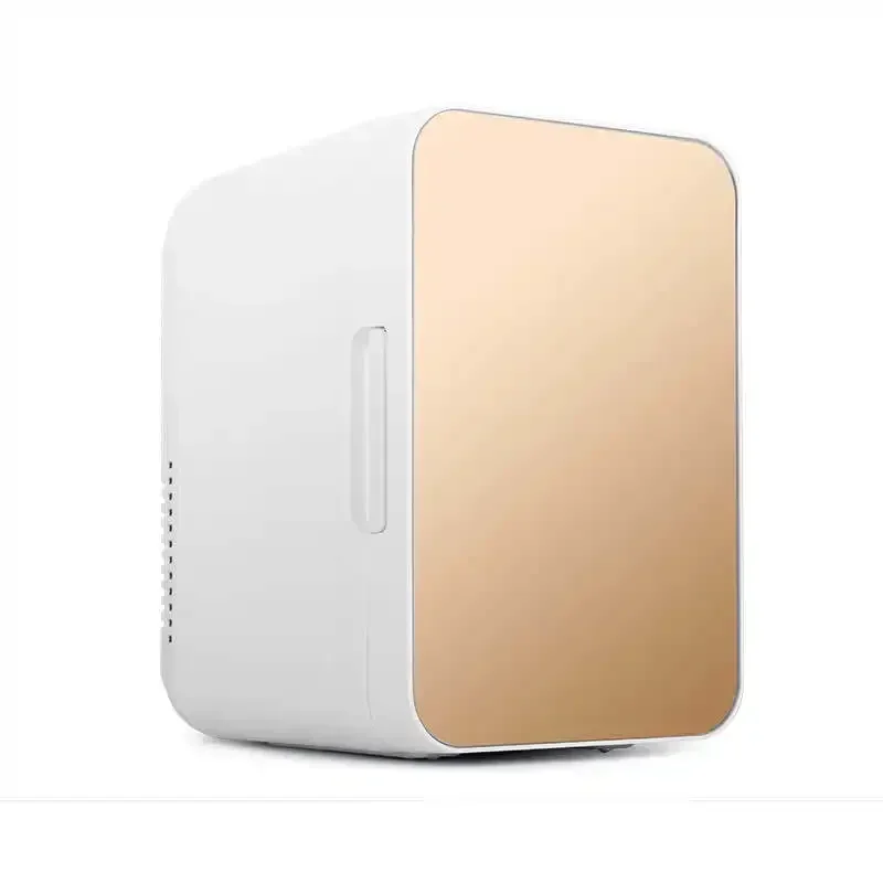 8L 12V 110V 220V AC DC Portable Refrigerator Cosmetic Fridge Makeup Refrigerators