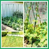 1PCS Trellis Netting Outdoor Heavy Duty Nylon Plant Climbing Netting Plant Net for Cucumber Tomato Fruits Vegetables Grapes 3