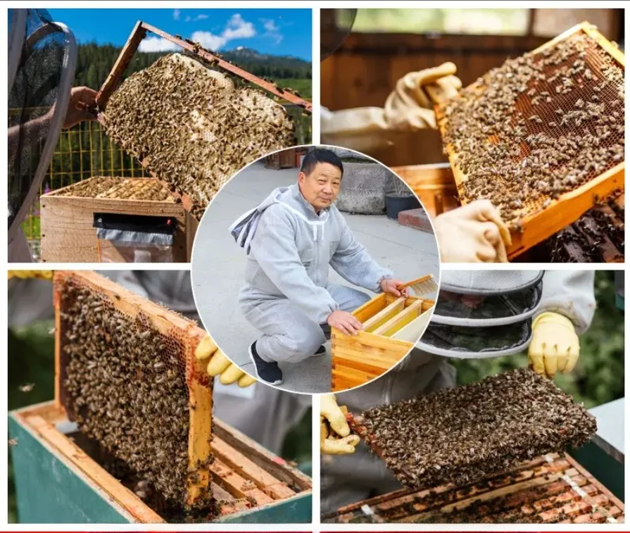 Beekeeping anti-bee clothing protective clothing, new thickened air whole body conjoined bee equipment, 3D breathable anti-bee c 6