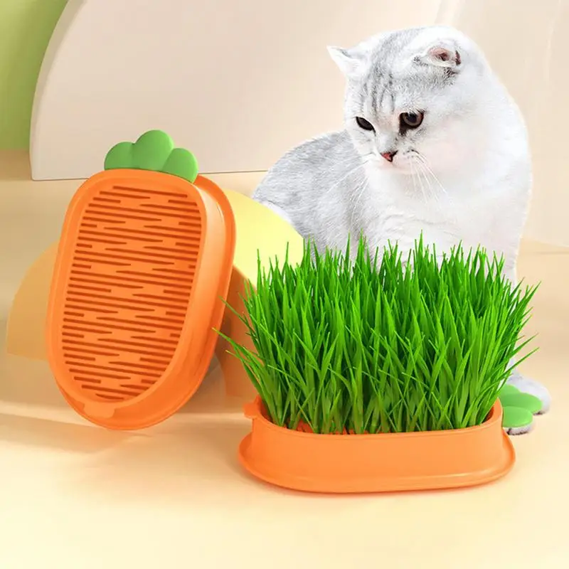 

Cat Grass Planter Multipurpose Sprouter Grower Tray Hydroponic Microgreens Germination Growing Trays For Cats Dogs Pets Products