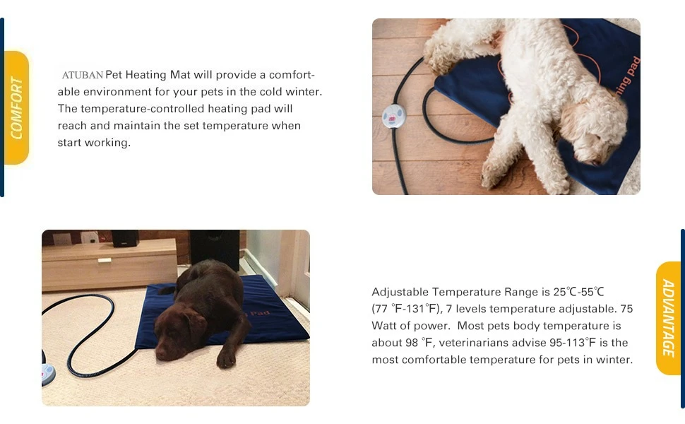 dog mat