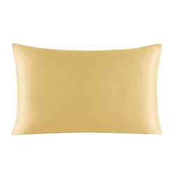 Premium 100% Mulberry Silk Pillowcase with Zipper - Luxurious and Healthy Sleep in Multicolor Options - 40x80 cm (Champagne)