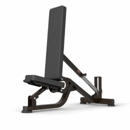 Adjustable Dumbbell Bench Multifunctional Gym Sit Up Bench Adjustable Dumbbell
