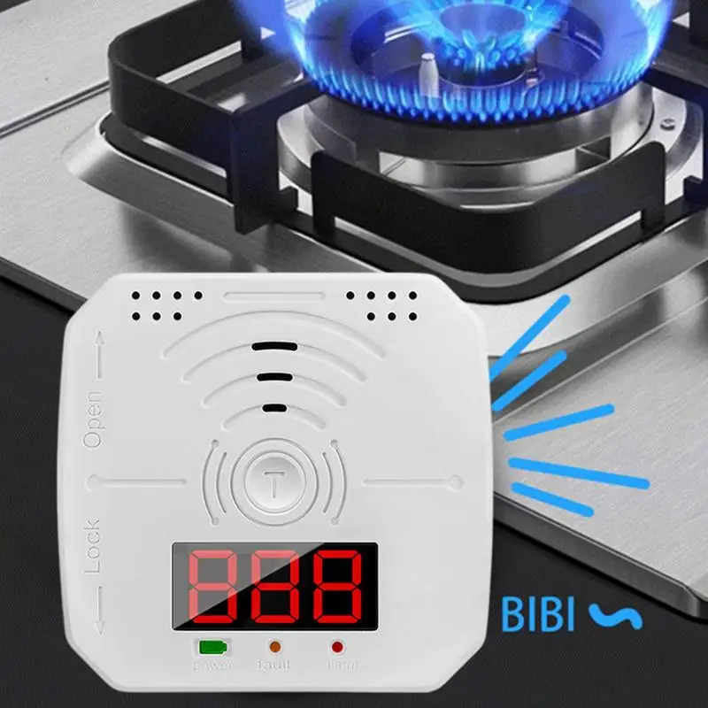 Carbon Monoxide Detector Alarm Co Levels Monitor Alarm Portable Co Monitor Sound & Light Warning Battery-Operated Carbon