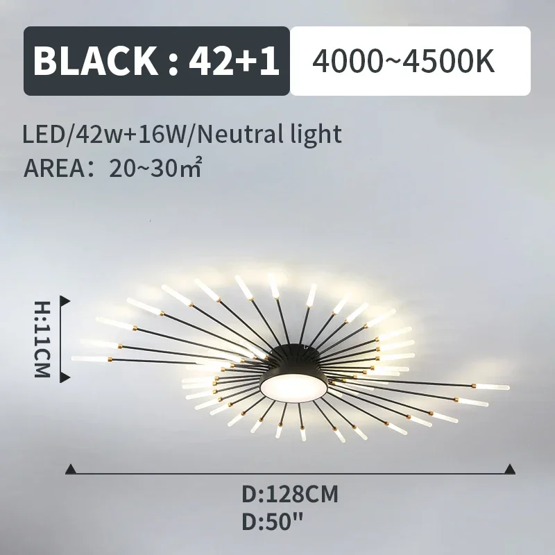 black 42x1 lights