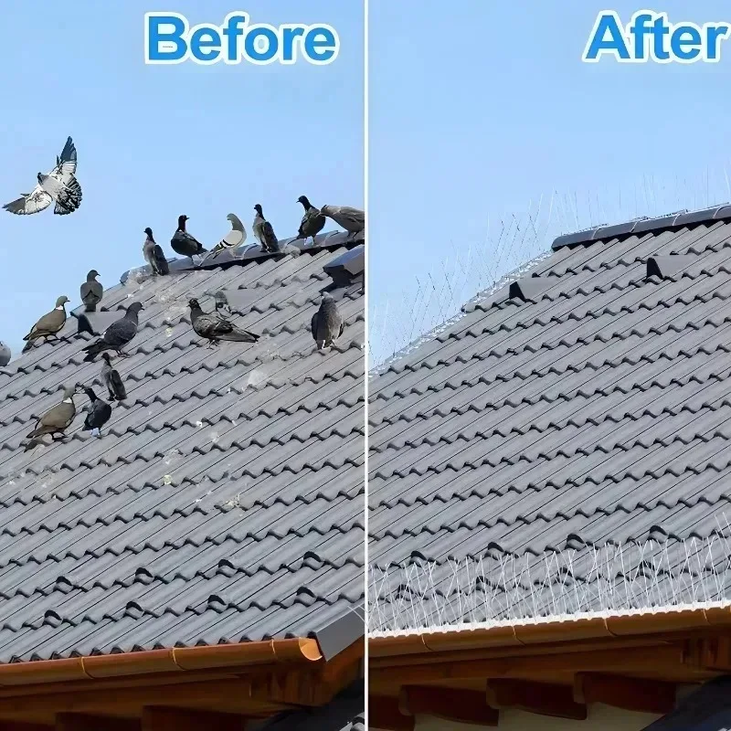Stainless Steel Bird Spikes - Outdoor Pigeon Deterrent for Roofs, Fences, and Gutters
