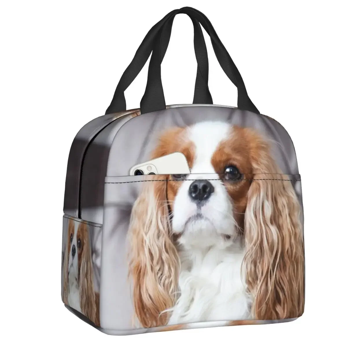Lunch Bag Women Cooler Thermal Insulated Lunch Box Cavalier King Charles Spaniel for Kids School Children