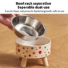 Cartoon Elevated Cat Bowl - Stainless Steel, Neck Protection & Anti-Choking, Large Capacity, Non-Slip Easy Clean Stylish Pet 6