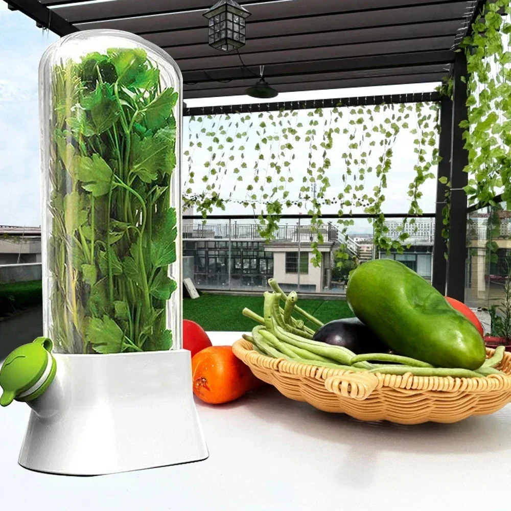 

1Pc Herb Saver Storage Container Fresh Vegetables Fresh Preservation Bottle Herb Keeper Vanilla for Refrigerator Kitchen Gadgets