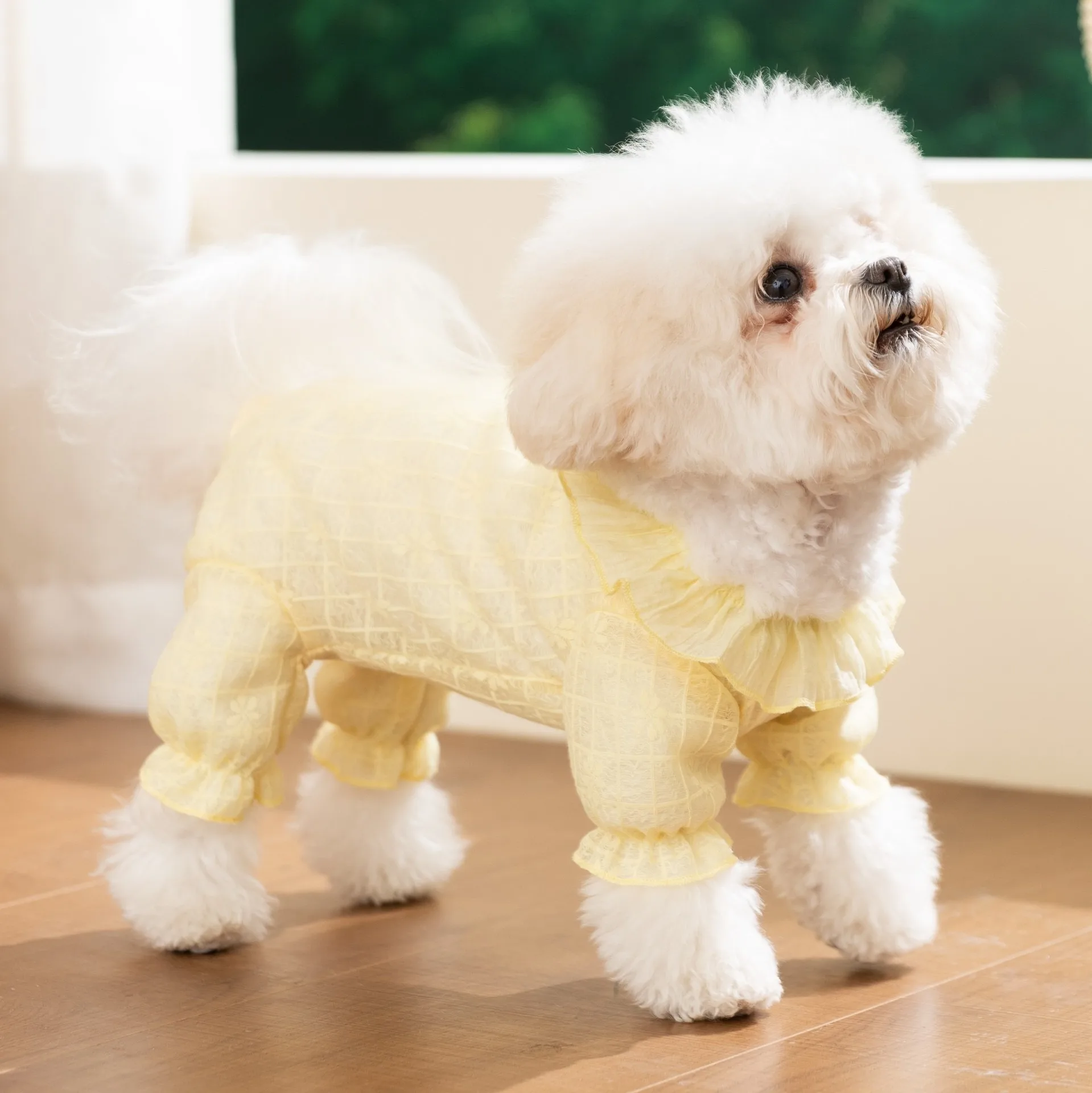 강아지 네발 팬츠 여름 단색 에어컨 옷 소형견 통기성 메쉬 웨이어 테디 점프슈트