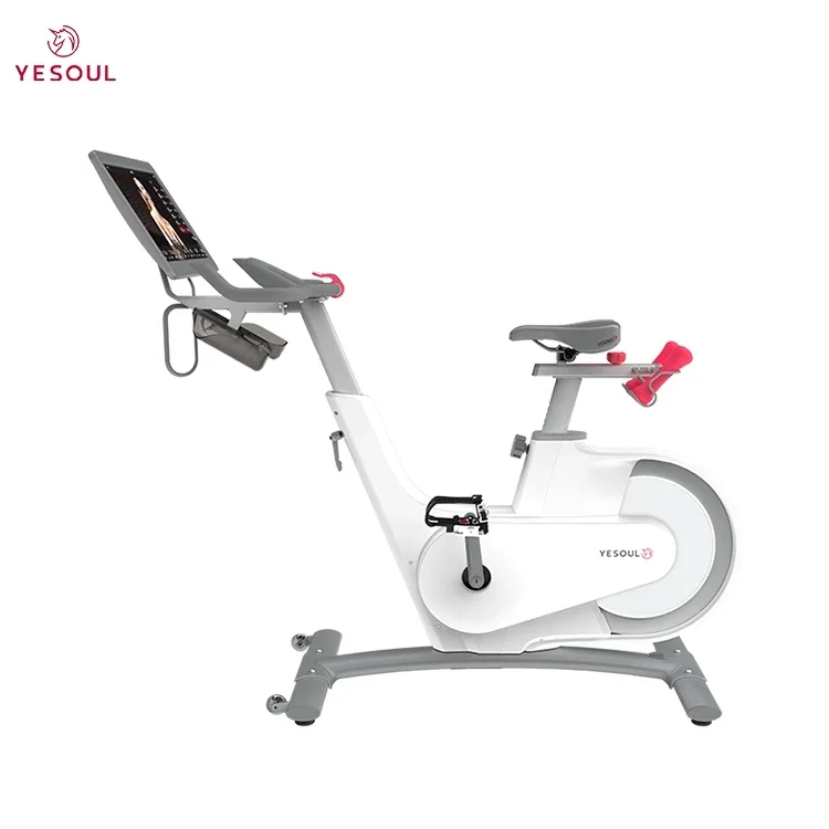 Exercise Bikes,Exercise Bike, Magnetic Stationary Bike With App, Low Noise Indoor Cycling Bike