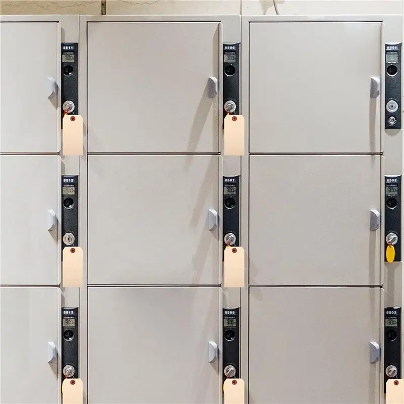 스마트-800개 와이어 태그, 빈 배송 태그, 와이어 마닐라 태그 라벨, 강화된 구멍과 금속 와이어가 있는 걸이 태그