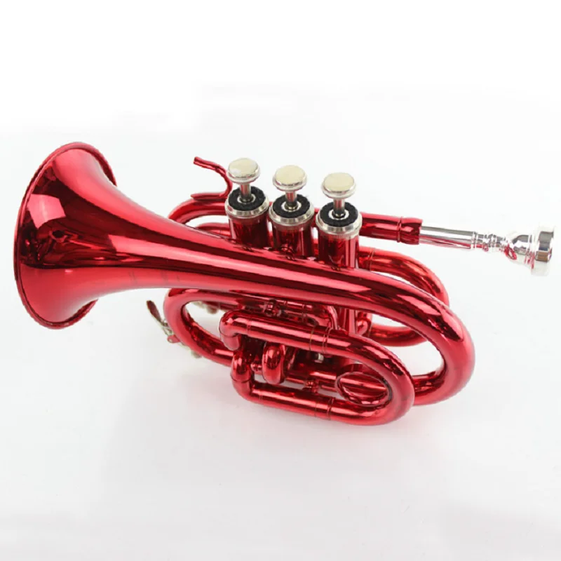 Learn Western Wind Instrument, B Flat Pocket, Red Palm Instrument