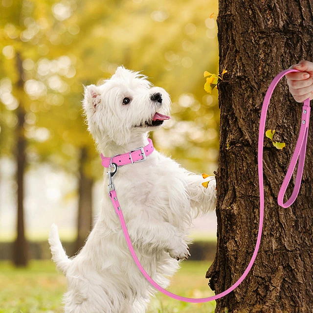 120cm PU Leather Dog Leash Soft 4ft Leather Dog Leash Pet Walking Training Leads Durable for Small Medium Dogs Pitbull Chihuahua 5