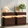 Night Stand Set 2 LED Night Stand for Bedroom Modern LED Bedside Table with 3 Drawers End Side Table 1