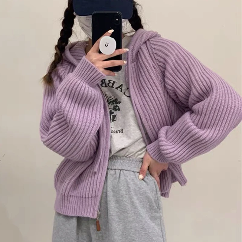 Autumn and Winter New Fashion Women's Clothing Hooded Cardigan Long-sleeved Sweater Elegant Solid Color Casual Zipper Knitwear