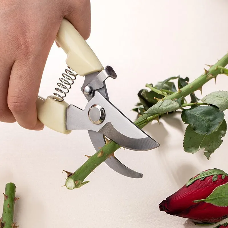 

Drtools 17cm Pruner Tree Cutter Gardening Pruning Shear Scissor Stainless Steel Cutting Tools Set Home Tools Anti-slip