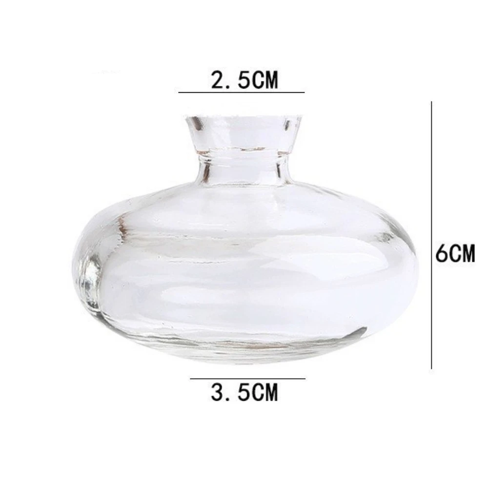 Elegant Transparent Glass Flower Vase