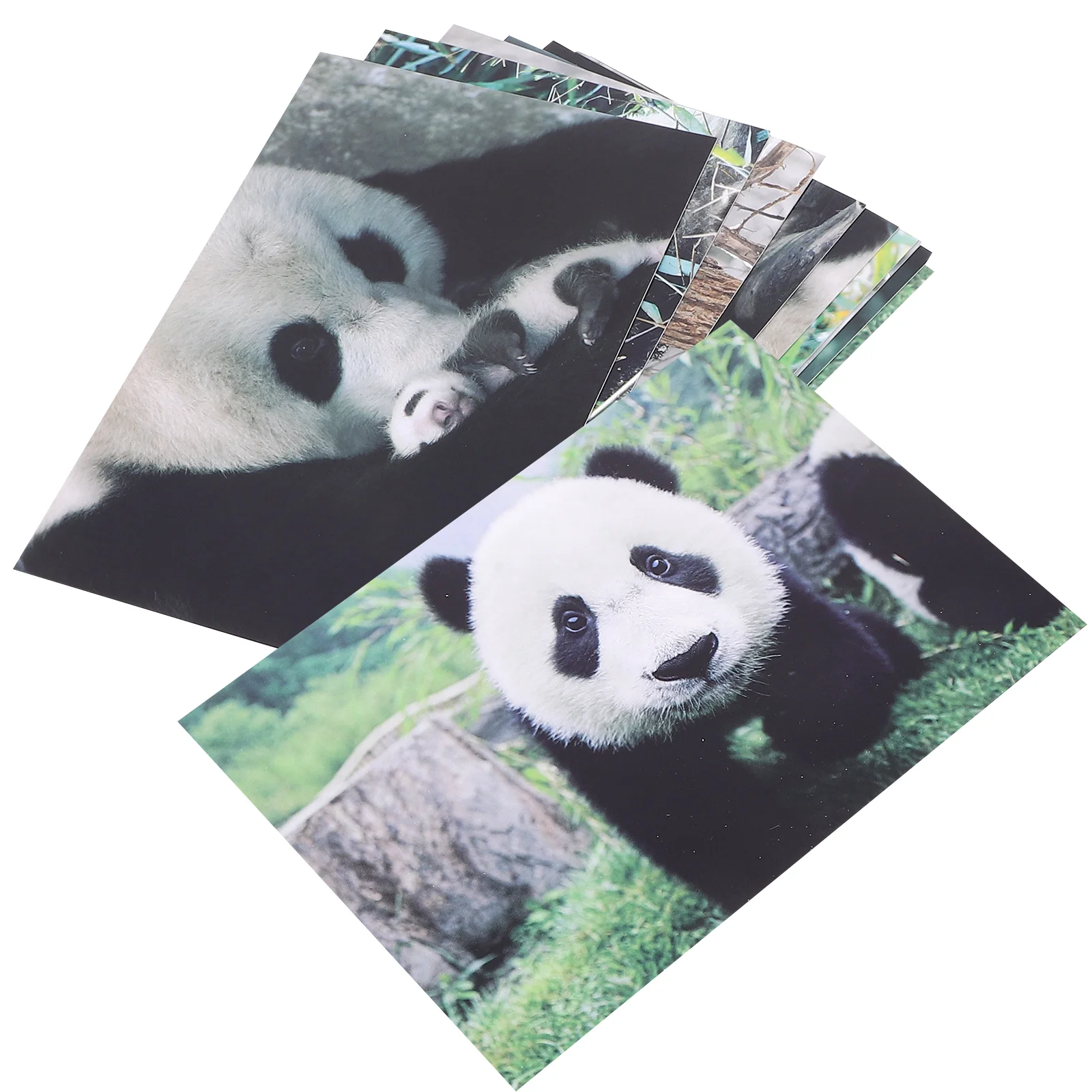 

10 шт. восхитительные почтовые открытки панды Серия фотографий животных открытка отлично подходит для детей Душ подарок на День Благодарения
