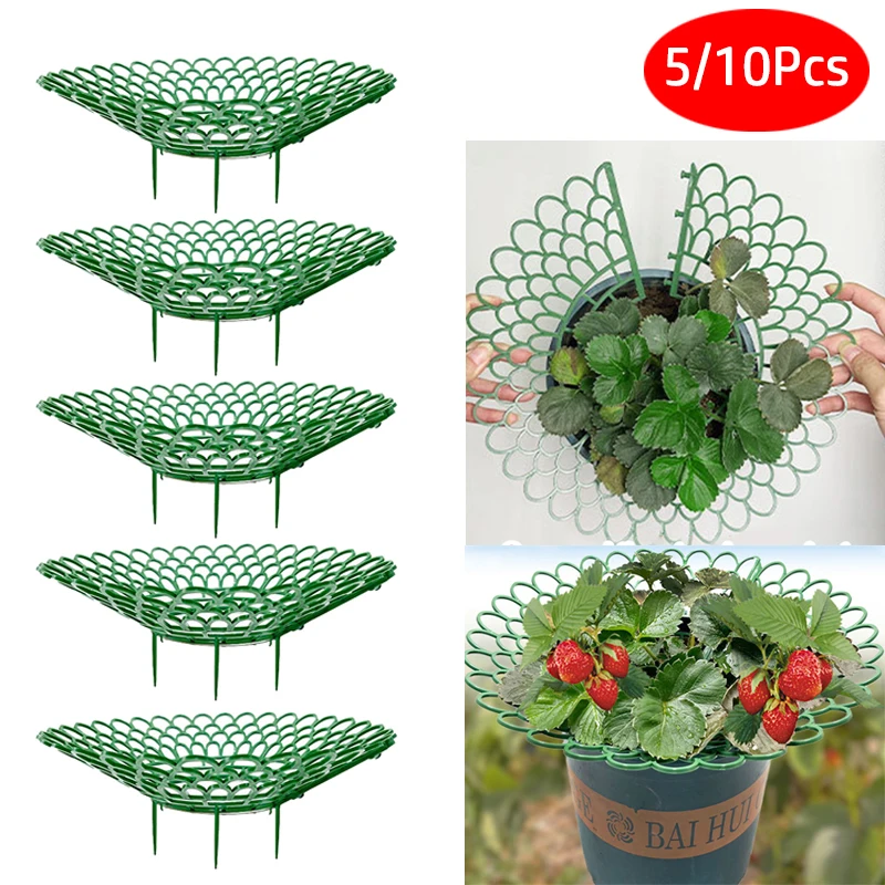 

5/10PCS Strawberry Supports Keeping Plant Fruit Stand Vegetable Growing Rack Garden Tools For Protecting Vines Avoid Ground