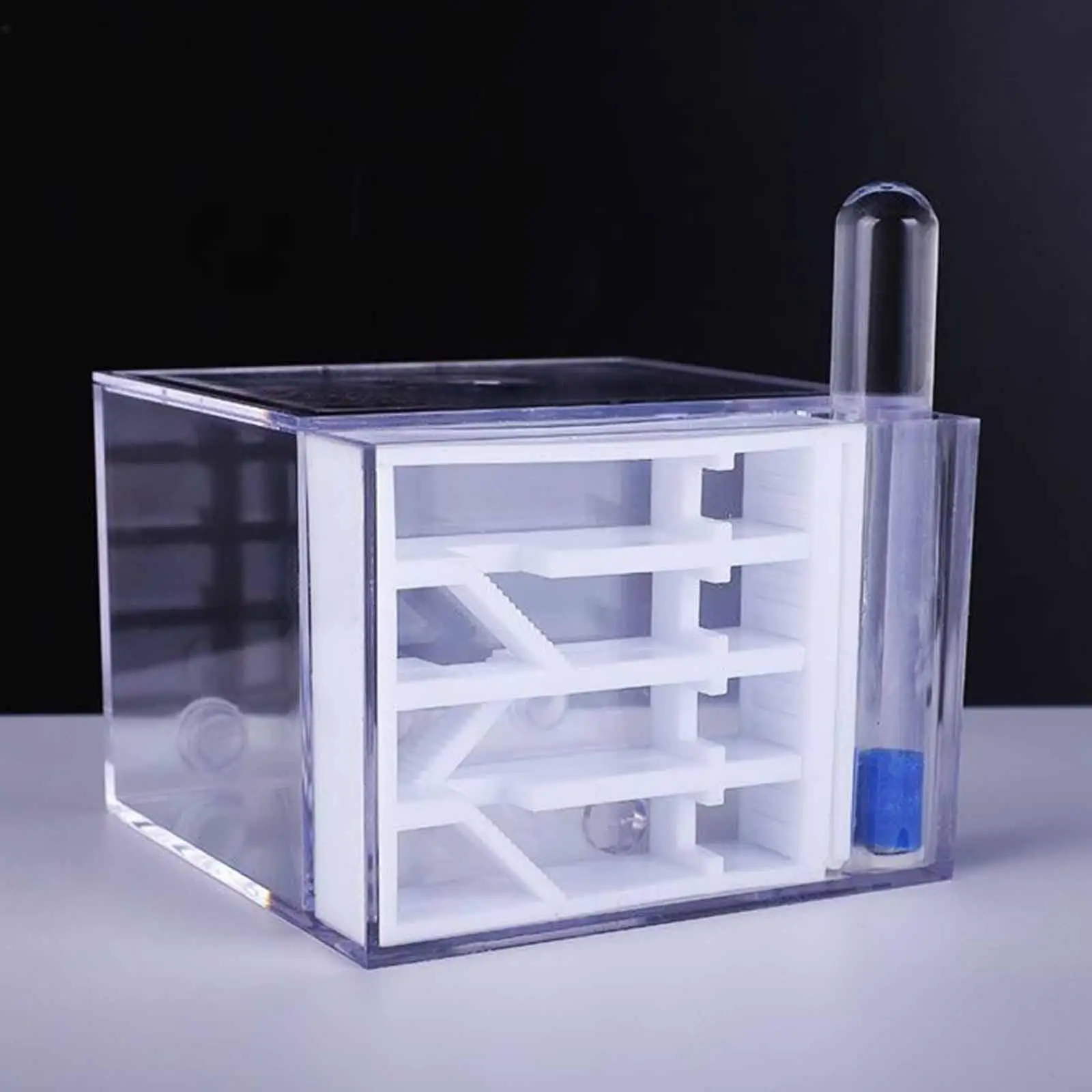 ANT Farm DIY Supplies Funny Toys Study ANT Habitat ANT Nest for Childrens Day Gift Decoration Tabletop Science Observation ANT Farm DIY Supplies Funny Toys Study ANT Habitat ANT Nest for Childrens Day Gift Decoration Tabletop Science Observation
