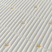 Embroidered Waterproof Mattress Pad Protector Skin-Friendly Durable Fitted Sheet Bed Cover Quilted Mat Cover 150/160/180/200/220 3
