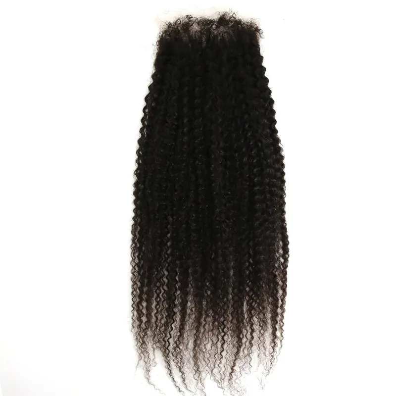 Afro Kinky Curly 5x5 Lace Closure Pre Plucked Brazilian Virgin Hair Baby Hair Human Transparent Lace Closure For Women