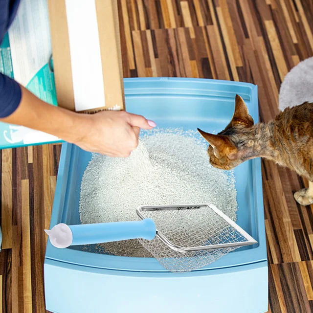 Premium Cat Litter Scoop Stainless Steel Reusable Pet Litter Shovel Strong Capacity for Efficient Cat Sand Sifting and Poop Premium Cat Litter Scoop Stainless Steel Reusable Pet Litter Shovel Strong Capacity for Efficient Cat Sand Sifting and Poop