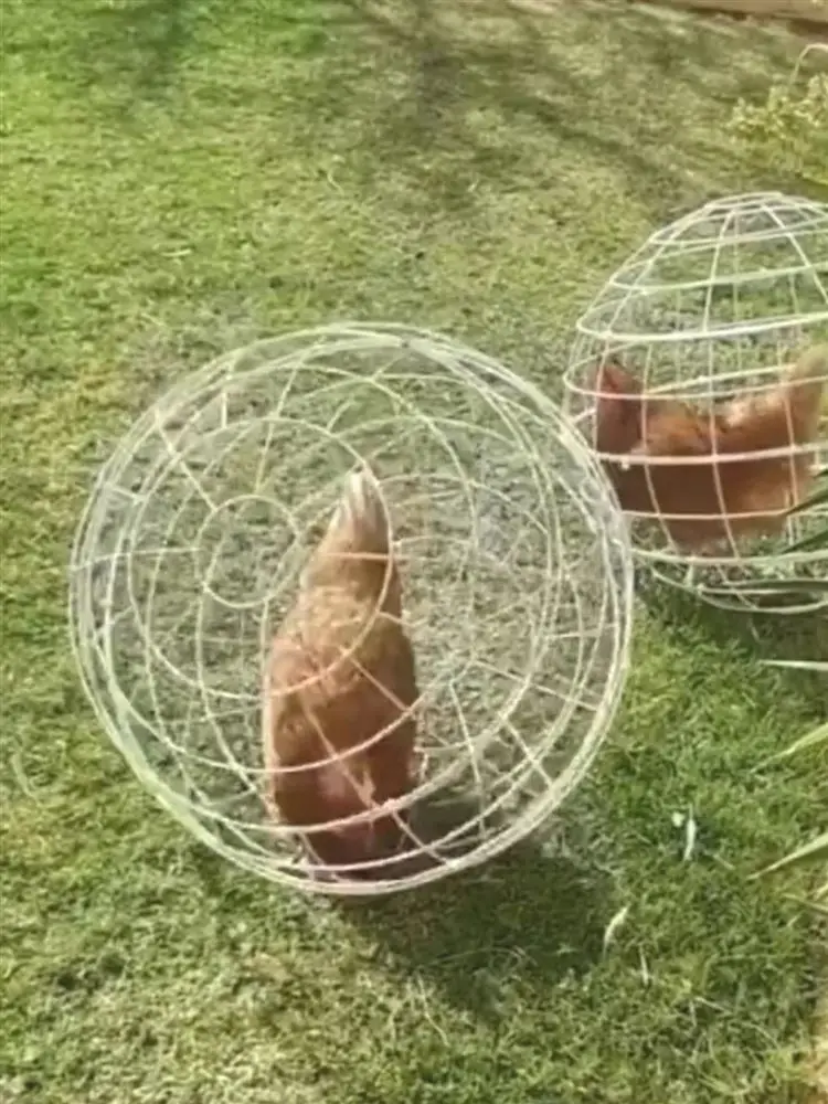 Нова настроювана кругла пластикова клітка для кроликів, сільськогосподарська клітка для кур, що виходять на відкриту відкриту...