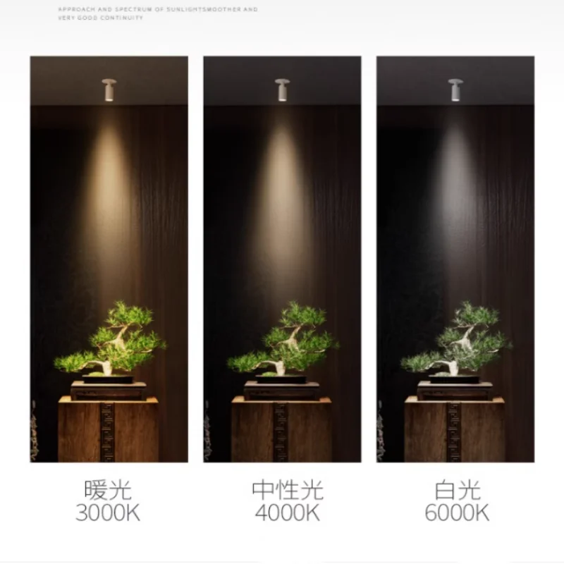 Small Angle spotlight 3&deg;8&deg;15&deg;24&deg;36&deg; adjustable Angle spotlight embedded household background commercial painting wall wash light