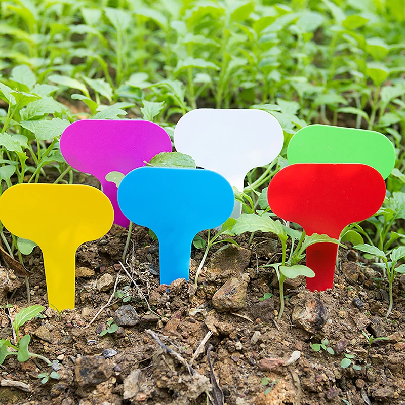 

100PCS Waterproof Ring Sign Vegetables Labels Markers Tool Reusable Garden Plant Nursery Hang Tag Plastic Identification Card