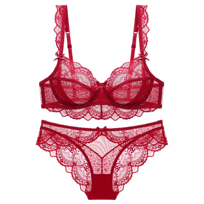 

Sexy Transparent Lace Lingerie Set for Women, Mesh Embroidery, 2-Piece Bra and Panties Set, Hollow Out Underwear
