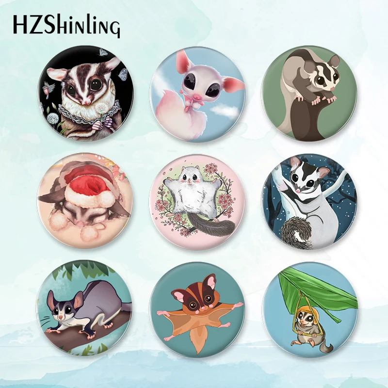 2023 New Sugar Glider Badge Spilla Cute Mouse Pin Zaino Decorazione Spille Gioielli Rotondi Regalo Donna