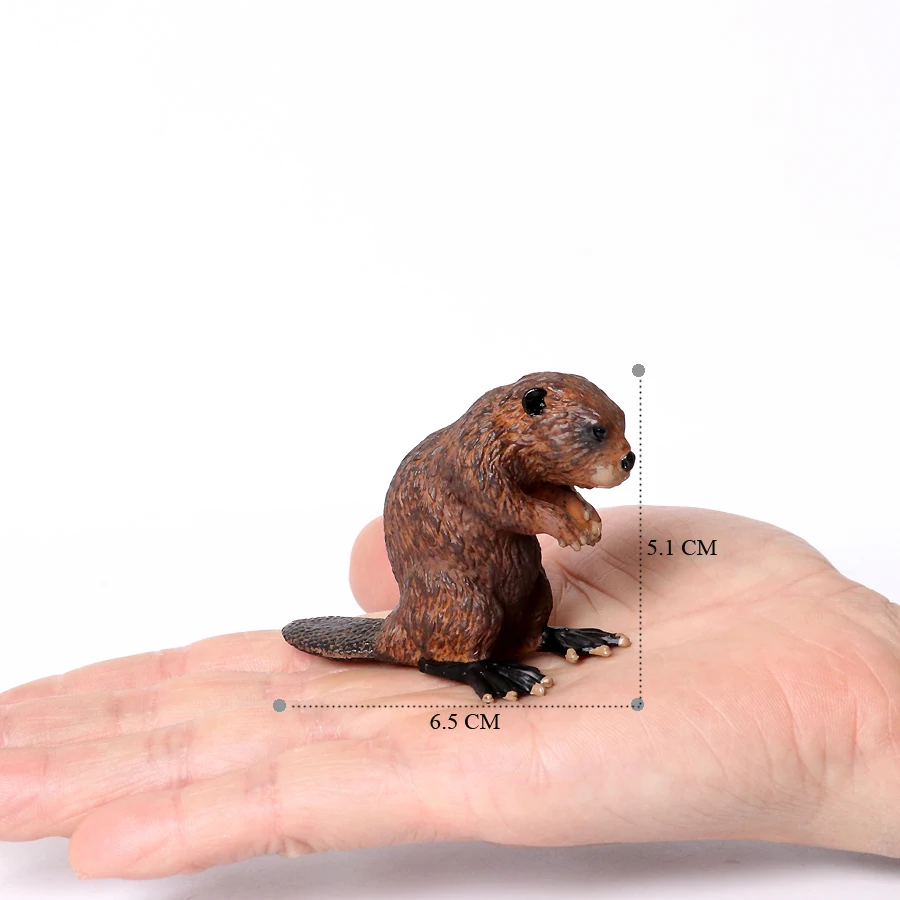 Realistische Nagetier Wilde Tiere Capybara Biber Maulwurf Erdferkel Maus Chipmunk Eichhörnchen Murmeltier Modell Figur Sammlung Spielzeug – Detail 40