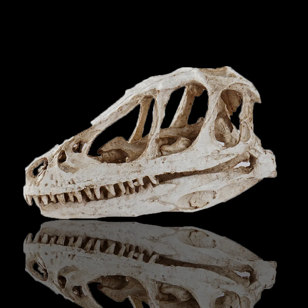 Modello di dinosauro Velociraptor in resina per decorazione