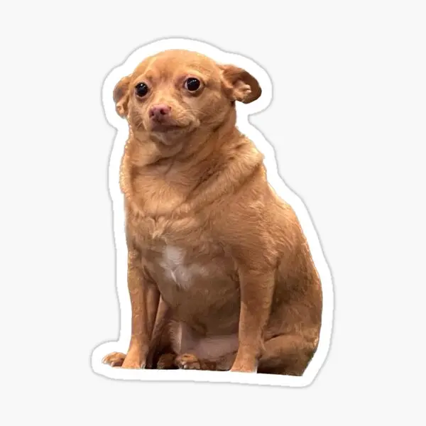 

5 шт., наклейки с рисунком мыши