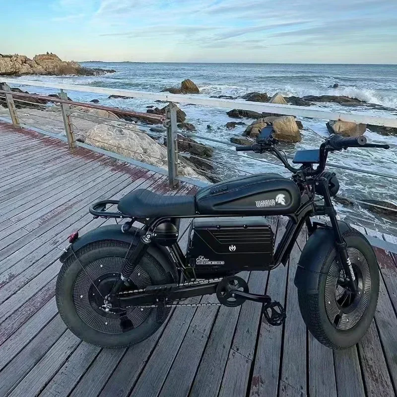 Zpw-大人用の黒い戦士電動自転車,20インチ電動自転車,ワイド