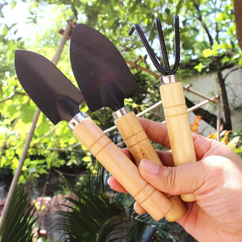 10 Pieces Mini Bonsai Tools Gardening Tool Kit Planting Cactus Succulents  Plants Outils Jardinage Qualité Kit Pour Jardin - AliExpress