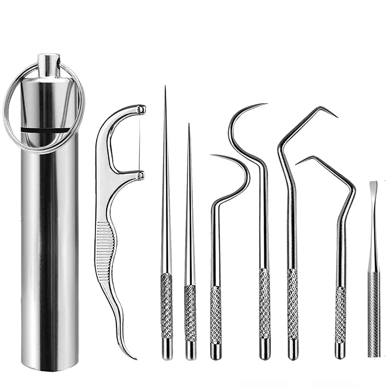 Dental Floss Toothpick Case Toothpick Storage Box Toothpick Floss Holder Stainless Steel Toothpick Set Tartar Cleaning Tools