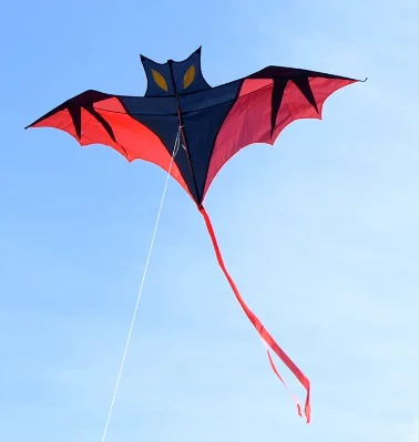 Bat Kite 50m line