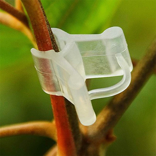 100 Dcs Átlátszó Virágnövények Oltó Klipek Kertészkedés Műanyag Díszek Szerszámok Palánták Termelő Tartók Tároló - Image 4