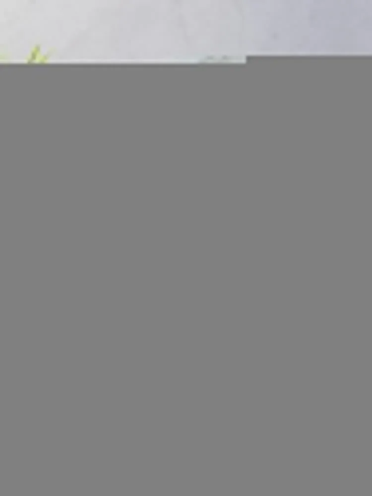 ��Ȳ�ϴ� �˹�Ʈ�ν� ������ ���, �� ����, ���� ħ�� ���