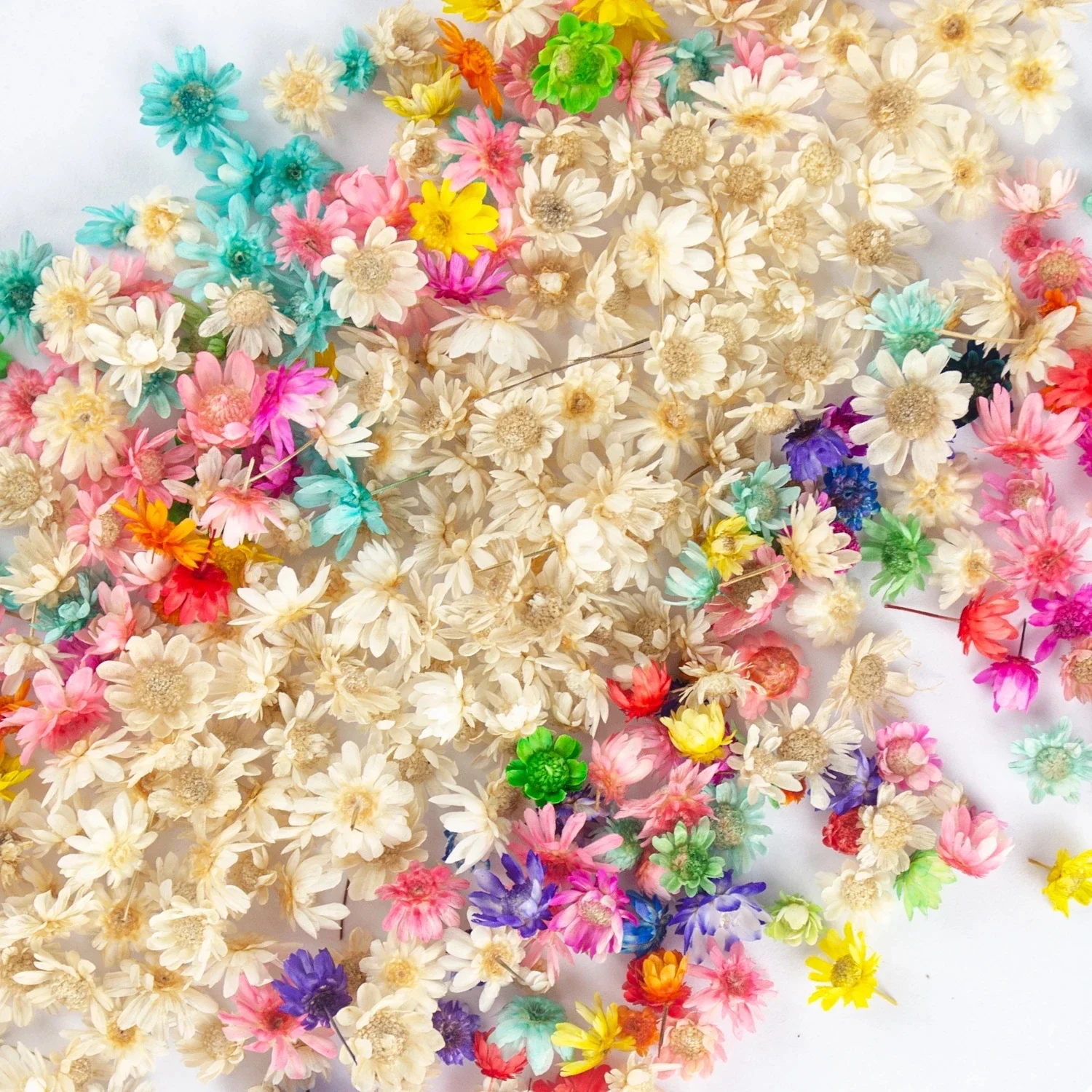Artificial Flower 100/200PCS Dried Flowers Brazil Little Star Flower DIY Craft Epoxy Resin Candle Nail Art Epoxy Resin Filling Making Jewellery