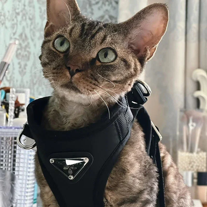 

Classic Brand Chest for Collar Dorsum Cat Dog Luxury Black Leash Scarf Puppy Harnesses Designe Triangular Premium Fashion