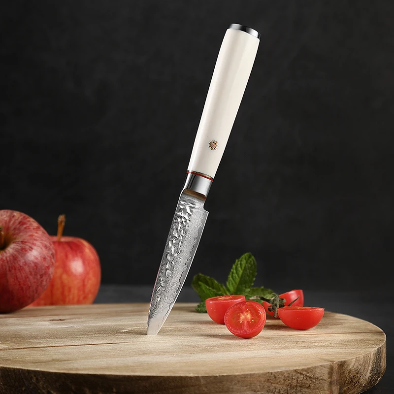 

TJ POP Forging Handmade 3.5 Inch Paring Knife Japanese VG10 67 Layer Damascus Steel ABS Handle Sharp Fruit Chef Kitchen Knives