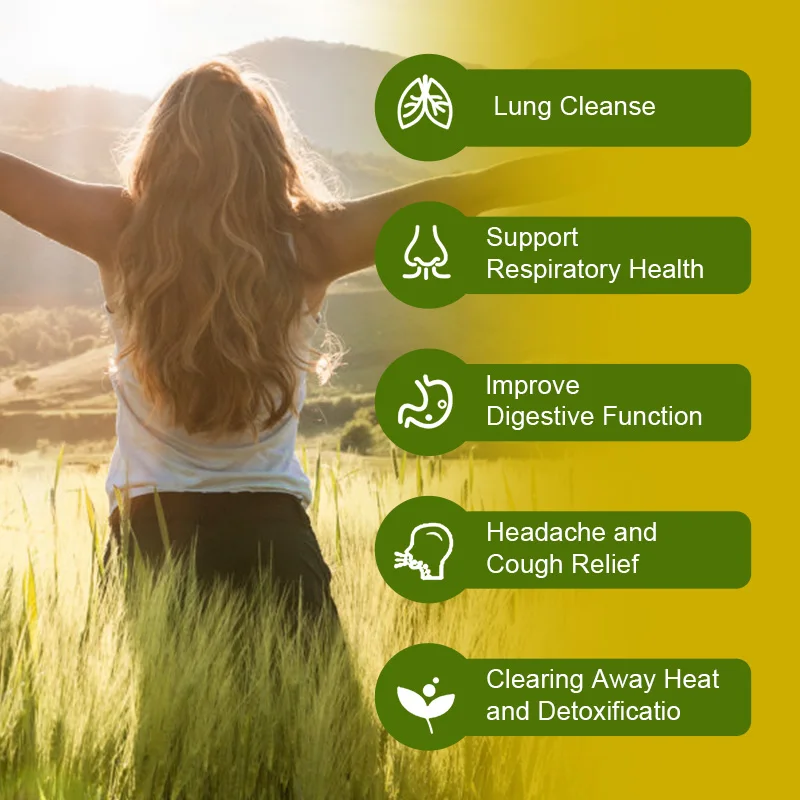 Herbal Plant Mullein Capsules Clean Lungs Protect Respiratory System Clear Heat Mucous Membranes Lung Cleanse mullein leaf extract lung detox capsules
